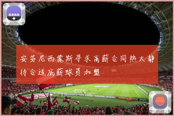 安芬尼西蒙斯寻求高薪合同热火静待合适底薪球员加盟