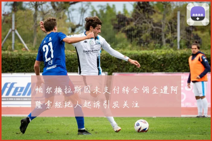 帕尔梅拉斯因未支付转会佣金遭阿隆索经纪人起诉引发关注